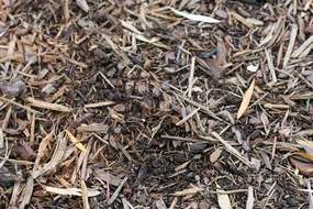 Mulch patch